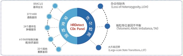 同源重组修复缺陷HRD基因突变检测产品（HRDetectCDx）