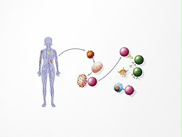 淋巴瘤188基因突变检测产品