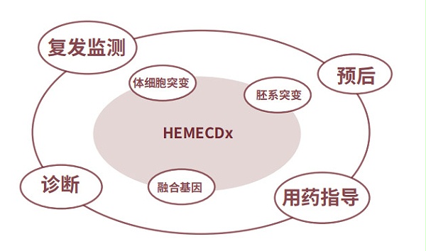 血液肿瘤融合基因检测产品（HEMECDx）